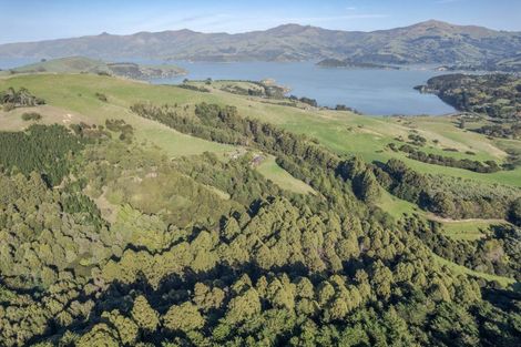 Photo of property in 88 Sawmill Road, Robinsons Bay, Akaroa, 7581
