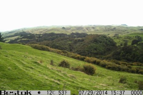 Photo of property in 41 Stewart Street, Marton, 4710