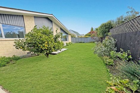 Photo of property in 12 Molesworth Place, Somerfield, Christchurch, 8024