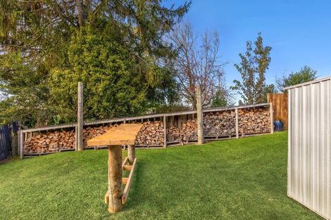 Photo of property in 17 Sholson Street, Putaruru, 3411