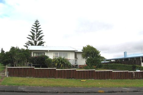 Photo of property in 29 Kaikoura Street, Henderson, Auckland, 0612