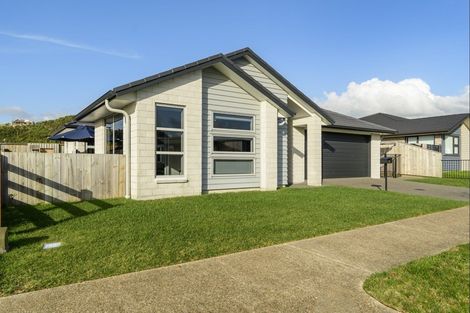 Photo of property in 41 Awataha Crescent, Pyes Pa, Tauranga, 3110