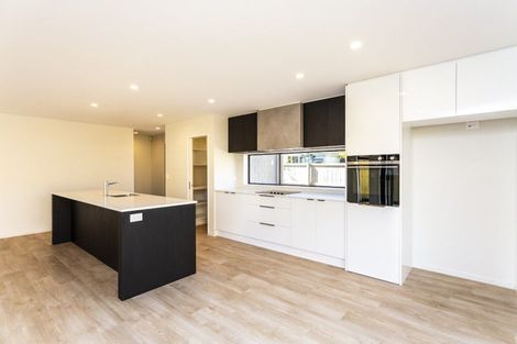 Photo of property in 41 Albany Street, St Albans, Christchurch, 8014