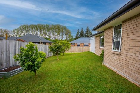 Photo of property in 9 Maple Place, Morrinsville, 3300