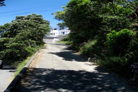 Photo of property in 21 Marewa Road, Hataitai, Wellington, 6021