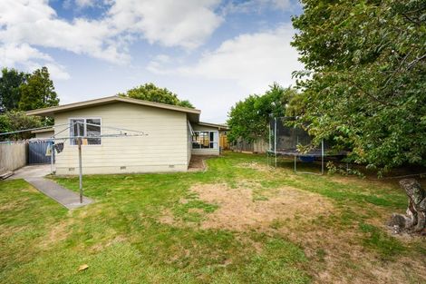 Photo of property in 49 Gemini Avenue, Milson, Palmerston North, 4414