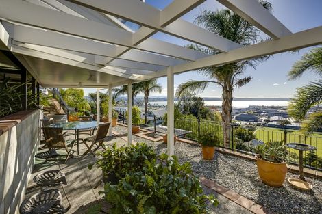 Photo of property in 40 Hospital Terrace, Hospital Hill, Napier, 4110