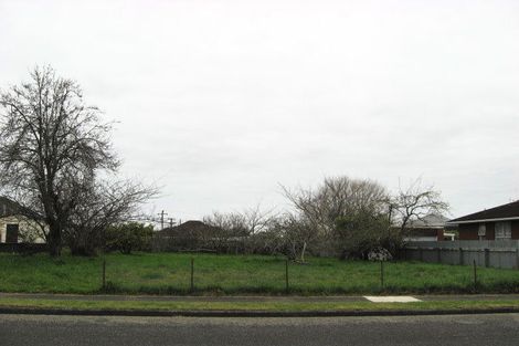 Photo of property in 41 Rugby Street, Levin, 5510