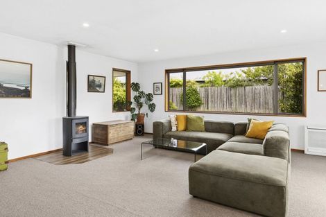 Photo of property in 88 Mount Iron Drive, Wanaka, 9305