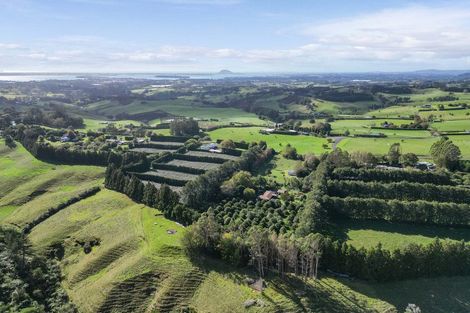 Photo of property in 486 Esdaile Road, Whakamarama, Tauranga, 3180