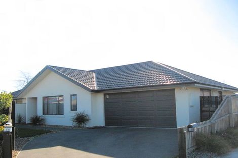 Photo of property in 45 Shenley Drive, Belfast, Christchurch, 8051