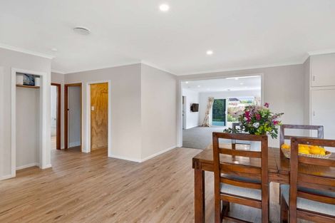 Photo of property in 113 Stanford Street North, Ashhurst, 4810