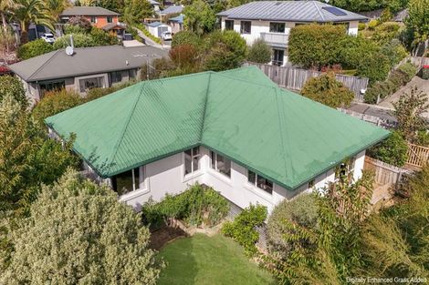 Photo of property in 6 Greenwood Place, Richmond, 7020