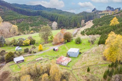 Photo of property in 424 Tapuiwahine Road, Otangiwai, Ongarue, 3997