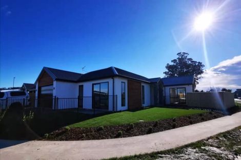 Photo of property in 12 Manakura Street, Avonhead, Christchurch, 8042