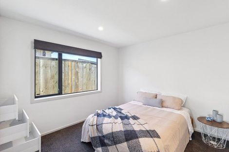 Photo of property in 45a Winchester Street, Levin, 5510