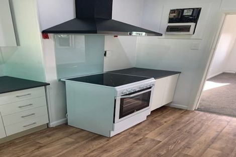 Photo of property in 29 Ballance Avenue, Papatoetoe, Auckland, 2104