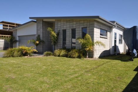 Photo of property in 125 Motu Hei, Pauanui, Hikuai, 3579