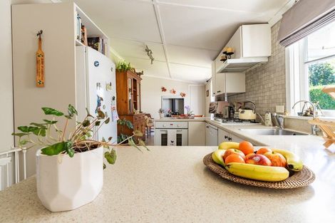 Photo of property in 17 George Street, Milton, 9220