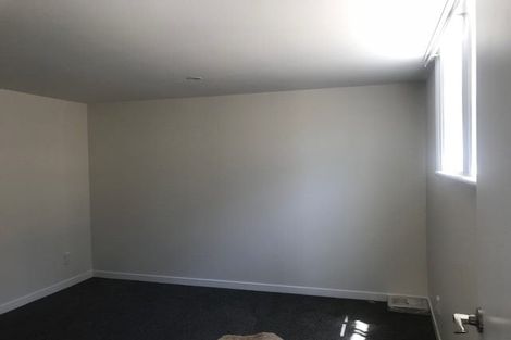 Photo of property in 239u1 Adelaide Road, Newtown, Wellington, 6021