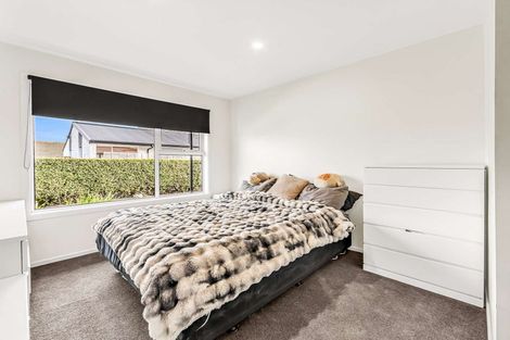 Photo of property in 81 Gray Crescent, Kaiapoi, 7630