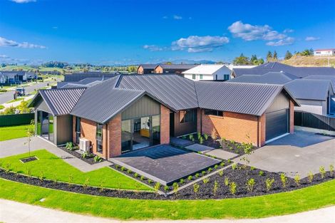 Photo of property in 217 Page Crescent, Te Awamutu, 3800