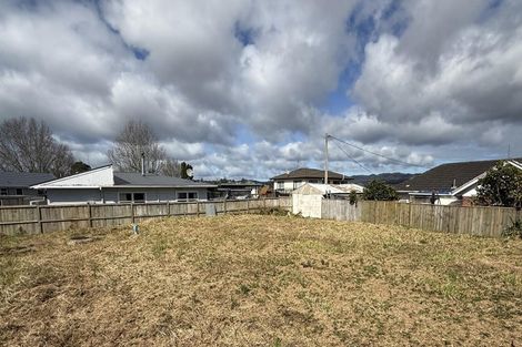 Photo of property in 9 Ambrosia Avenue, Henderson, 0612