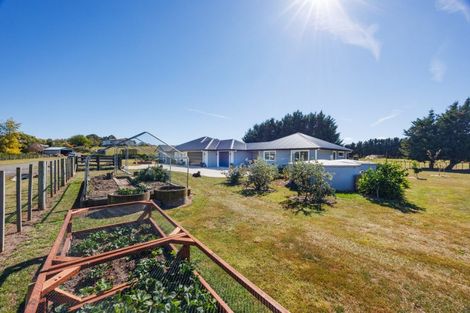 Photo of property in 192a Awahuri Feilding Road, Feilding, 4775