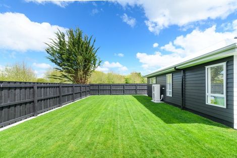 Photo of property in 84 Arnott Street, Feilding, 4702