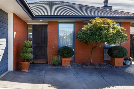 Photo of property in 44 Tremorne Avenue, Blenheim, 7201