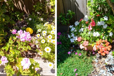 Photo of property in 4 Hadleigh Place, Bethlehem, Tauranga, 3110