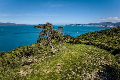 Photo of property in 50 Dungarvan Road, Newlands, Wellington, 6037