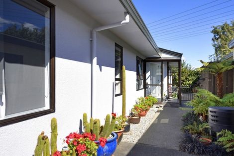 Photo of property in 20-f Bledisloe Avenue, Stoke, Nelson, 7011