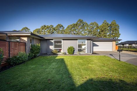 Photo of property in 7 Hepburn Place, Rolleston, 7614