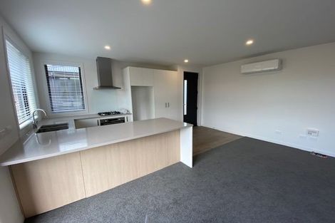 Photo of property in 14u1 Mitcham Avenue, Forest Lake, Hamilton, 3200