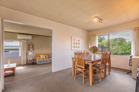 Photo of property in 163 Porangahau Road, Waipukurau, 4200