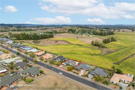 Photo of property in 288 Grandview Road, Western Heights, Hamilton, 3200