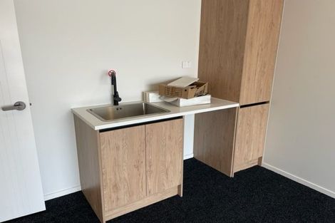 Photo of property in 17 Pilot Drive, Hobsonville, Auckland, 0616