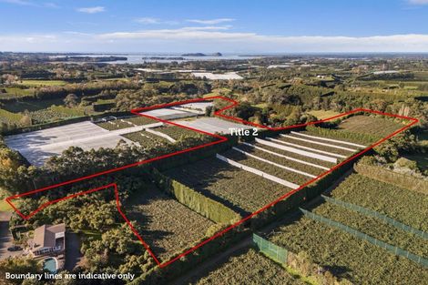 Photo of property in 416 State Highway 2, Tahawai, Katikati, 3170