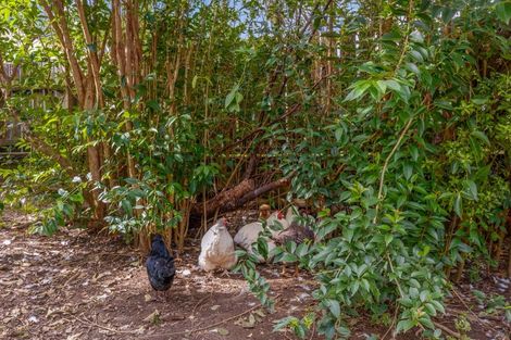 Photo of property in 33 Ema Street, Te Aroha, 3320