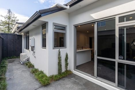 Photo of property in 17u2 Manning Street, Hamilton Central, Hamilton, 3204