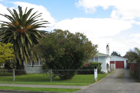 Photo of property in 25 Hammond Street, Bulls, 4818