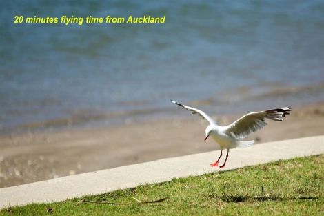 Photo of property in 8u1a The Esplanade, Whitianga, 3510