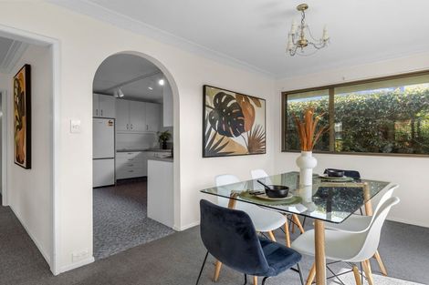 Photo of property in 56 Nile Street, Nelson, 7010