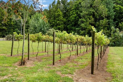 Photo of property in 239a Waitawheta Road, Waikino, Waihi, 3682