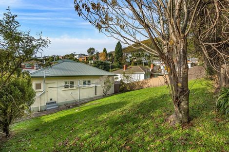 Photo of property in 24 Antrim Street, Normanby, Dunedin, 9010