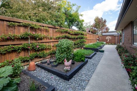 Photo of property in 263 Southfield Drive, Lincoln, 7608