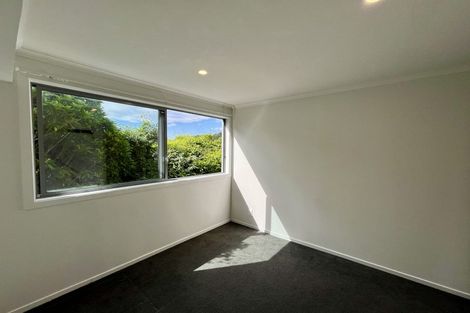 Photo of property in 127u2 Raroa Road, Aro Valley, Wellington, 6012