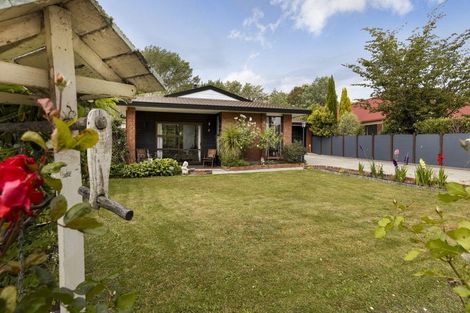 Photo of property in 17 Morrington Terrace, Witherlea, Blenheim, 7201