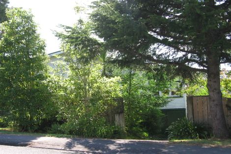 Photo of property in 45 Nikau Street, New Lynn, Auckland, 0600